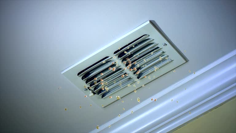 Best Air Duct Cleaning Company Near Me  in Fort Mohave, AZ